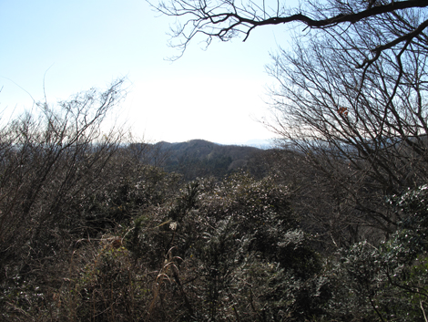 20170126hike (122)